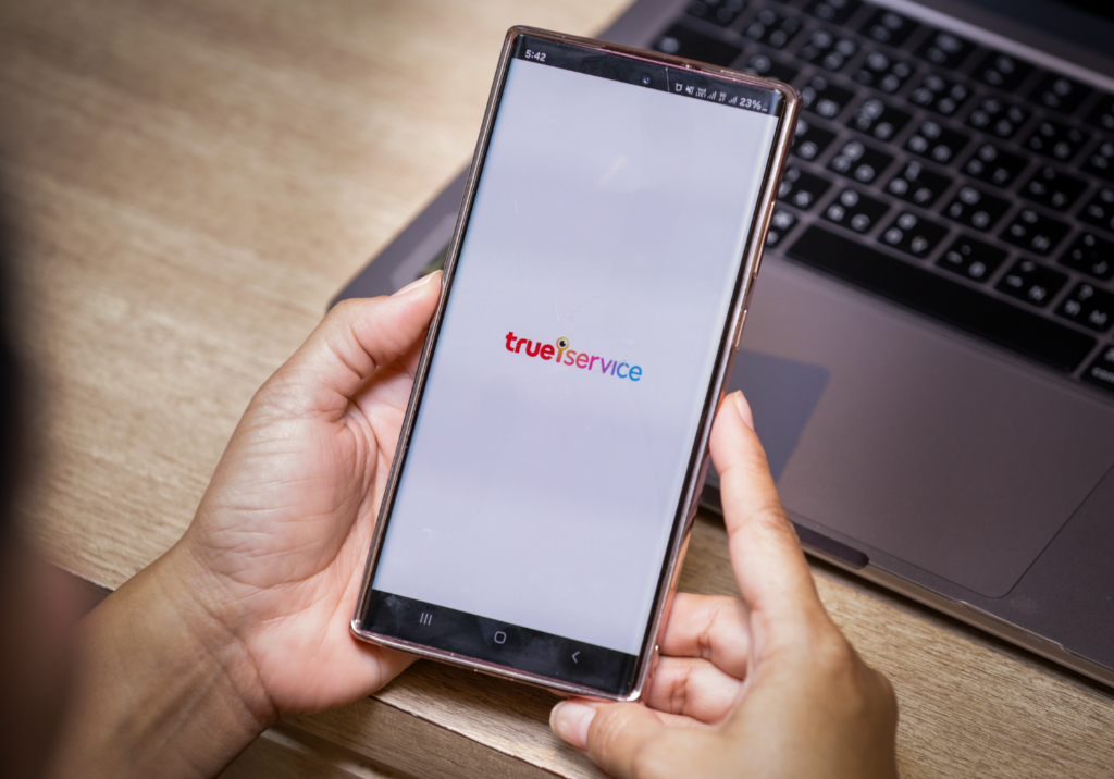 TRUE ISERVICE visual data 2