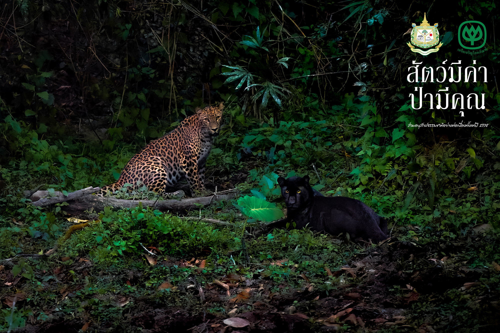 โครงการสัตว์มีค่า ป่ามีคุณ