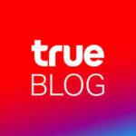 True Blog Team
